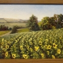 35 Günter Schwarz "Sonnenblumen" - Öl, 22x17cm